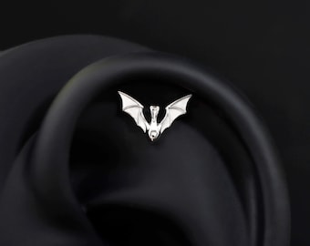 Skyborne Dragon Stud Earring, Threadless Push In Helix Jewelry,Flat Back Cartilage Piercing Stud,Sterling Silver Plated 18K gold 16G/18G/20G