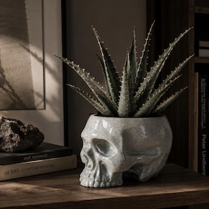 May include: A light gray ceramic planter shaped like a human skull with a fine crackle glaze finish. The planter holds a spiky green aloe vera plant with long, pointed leaves that extend upward from the top of the skull-shaped container.