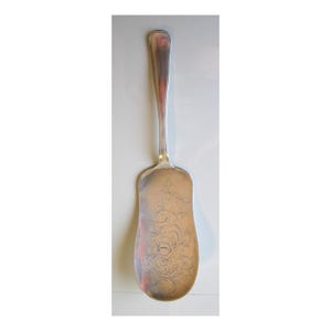 May include: A silver-toned metal cake server featuring a long, slender handle and a wide, flat blade. The surface of the blade is decorated with an intricate, engraved floral pattern consisting of swirling vines, leaves, and blossoms.