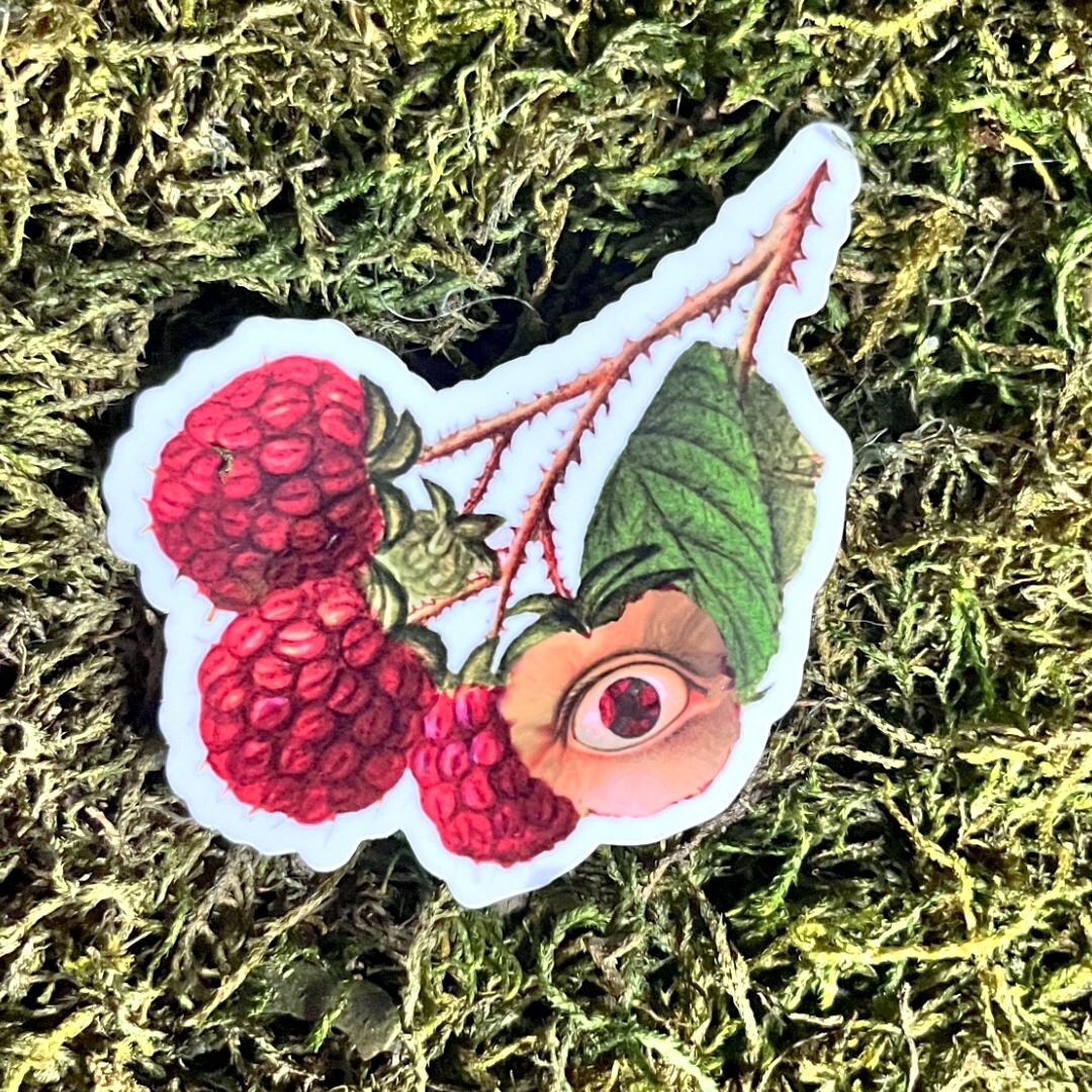 Raspberries: Fruit Eyes Series - Etsy