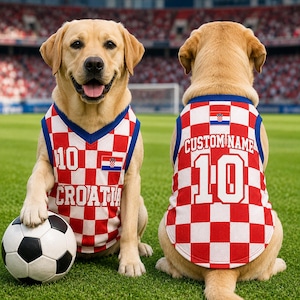 Personlig Kroatien Fotbollströja för Hundar och Katter, Kroatien Fotbollströja, Söt Valpsportkläder, Present till Husdjursälskare bild 1