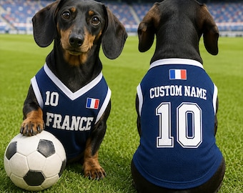 Personalized France Pet Soccer Jersey Soccer Outfit for Dogs Cats, France Football Shirt, Cute Puppy Sportswear, Gift For Pet Lover