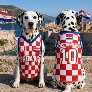 Personlig Kroatien Fotbollströja för Hundar och Katter, Kroatien Fotbollströja, Söt Valpsportkläder, Present till Husdjursälskare bild 6