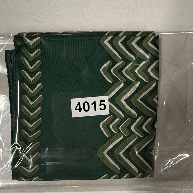 Bufanda de mezcla de seda Echo Young Pendleton con estampado de chevrón verde, estilo vintage, moderno y preppy, de estilo academia oscura. imagen 7