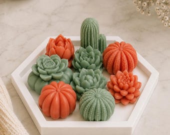 Handmade Cactus Soap Set with Dish, Succulent Favors