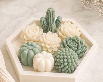 Handmade Cactus Soap Set with Dish, Succulent Favors