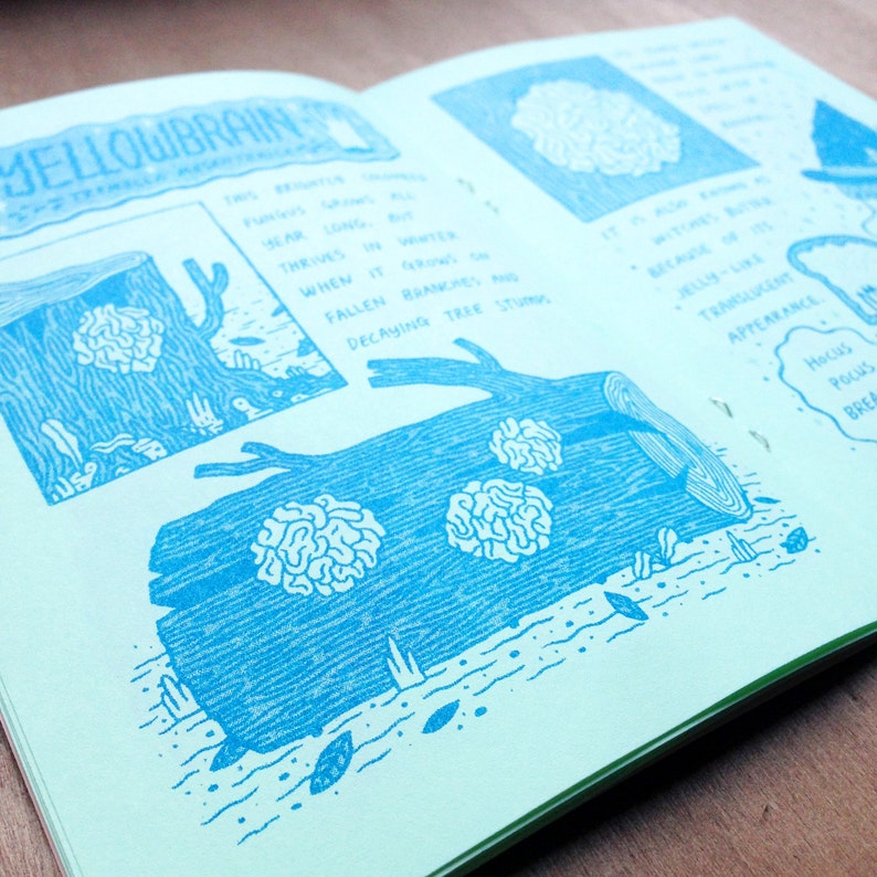 Winter Wild Plant Zine, Comic Risograph Handmade image 3