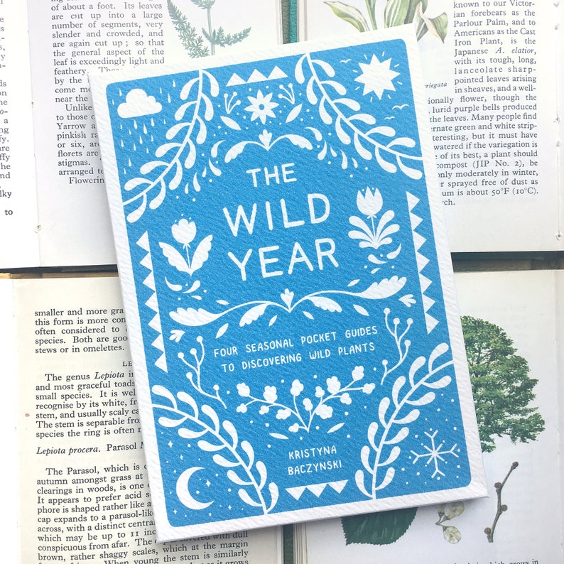 Plant Zine Collection, The Wild Year 4 x Seasonal Risograph Comics, Boxed Gift image 7