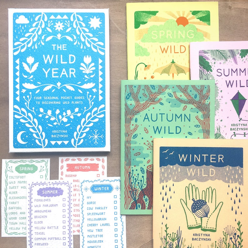 Plant Zine Collection, The Wild Year 4 x Seasonal Risograph Comics, Boxed Gift image 1