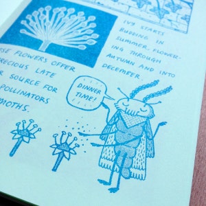 Winter Wild Plant Zine Comic Risograph Handmade image 4