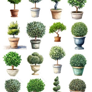 May include: Watercolor illustration of various potted topiary trees. The image features a collection of green, leafy plants in different shapes and sizes, including round, spiral, and tiered forms. The pots are in various colors and styles, including terracotta, white, and decorative urns.