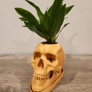 スカルポット、スカル多肉植物プランター、ゴシックホーム