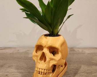 Maceta con forma de calavera impresa en 3D / Decoración gótica para el hogar, regalo de Halloween