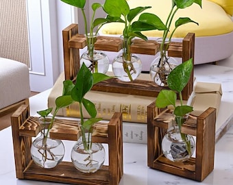 Wooden Frame Hydroponic Vase: Glass Bottle Planter, Home Office Decor