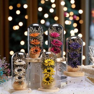 Peut inclure: Cinq cloches en verre avec des fleurs séchées de différentes couleurs : orange, rose, jaune, blanc et violet. Chaque dôme repose sur une base en bois et contient des guirlandes lumineuses. L'arrière-plan présente des lumières bokeh floues.