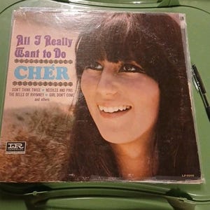 Cher - All I Really Want To Do, 1965 Vintage Vinyl LP