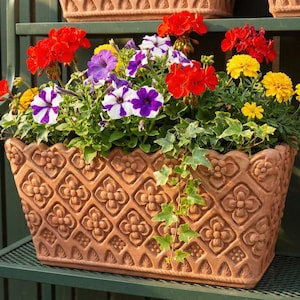 Può includere: Una fioriera rettangolare in terracotta piena di fiori vibranti. La fioriera presenta un motivo floreale ripetuto. I fiori includono gerani rossi, petunie viola e bianche e calendule gialle, creando un'esposizione colorata. L'edera verde trabocca dai lati.