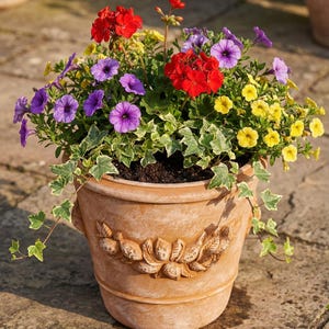 Puede incluir: Una maceta de terracota rebosante de flores vibrantes. El arreglo presenta geranios rojos, petunias moradas y calibrachoa amarillas, complementadas con hiedra variegada verde y blanca. La maceta tiene un relieve floral decorativo.