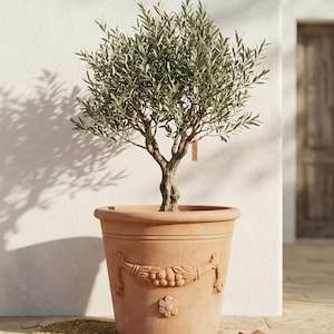 Puede incluir: Un olivo en una maceta de terracota. El árbol tiene hojas verdes y un tronco marrón. La maceta está decorada con un diseño de guirnalda. La maceta se encuentra sobre una estera tejida sobre una superficie de piedra.