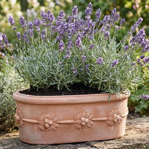 Puede incluir: Una maceta ovalada de terracota llena de plantas de lavanda. La maceta tiene un diseño floral decorativo alrededor del borde. La lavanda tiene flores moradas y follaje verde, sobre un fondo de jardín borroso.