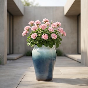 Puede incluir: Una maceta grande de cerámica azul y blanca llena de geranios rosas. La maceta tiene un diseño texturizado y acanalado y está colocada en un patio de piedra. Las flores están en plena floración, con follaje verde.