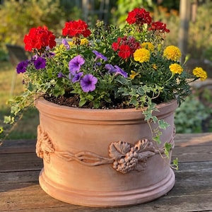 Könnte beinhalten: Ein runder Topf in Terrakotta-Farbe, gefüllt mit leuchtenden Blumen. Die Blumen umfassen rote Geranien, lila Petunien und gelbe Ringelblumen. Der Topf hat ein dekoratives Weinreben-Design an der Außenseite.