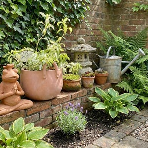 Puede incluir: Una serena escena de jardín con una estatua de rana de terracota, una gran maceta de terracota y una regadera de metal vintage. La escena está ambientada contra una pared de ladrillo y exuberante follaje verde.
