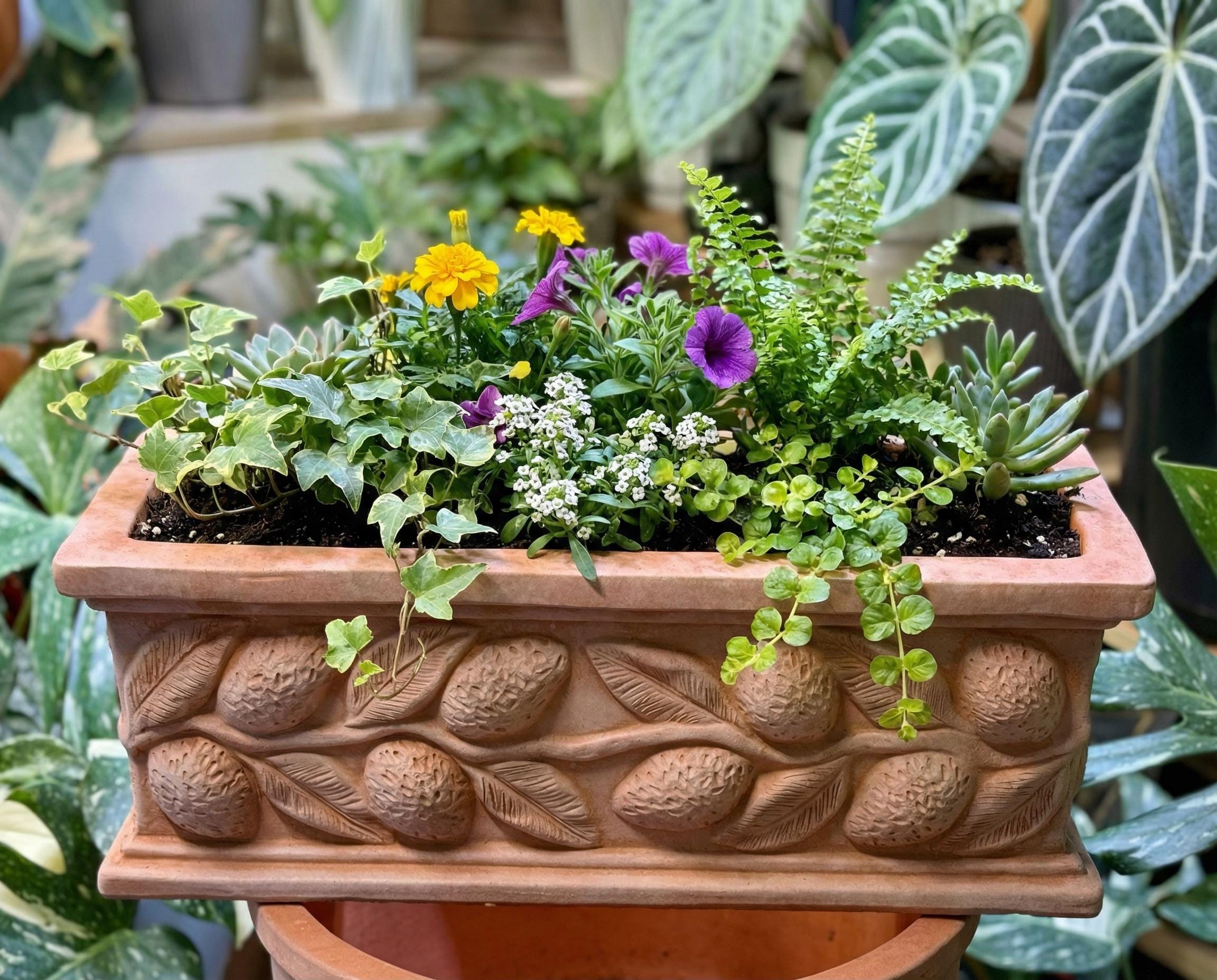 Rectangular Terracotta Planter Long - Etsy