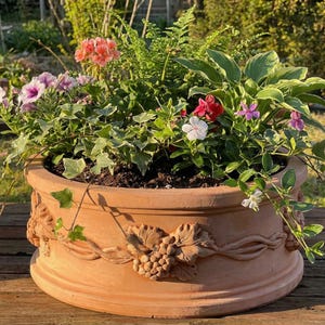 Pode incluir: Um grande vaso redondo de terracota cheio de uma variedade de flores e vegetação coloridas. O vaso tem um relevo decorativo de uvas e folhas. As flores incluem flores rosa, roxas, vermelhas e brancas, com hera e outras folhagens.