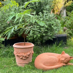 May include: A terracotta pot with a small tree and a sleeping cat statue on green grass. The pot has a decorative floral design. The cat statue is curled up, and the scene is set in a garden with lush greenery in the background.