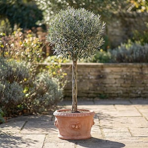 Op de afbeelding: Een set van drie keramische mokken met een gespikkelde, matte afwerking. De mokken zijn in crème, lichtgrijs en donkergrijs. Elke mok heeft een eenvoudig, minimalistisch ontwerp.