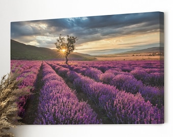 Amazing Lavender Field at Sunset Wall Art on Canvas - Aesthetic Lavender Flowers Wall Decor - Housewarming Lavender Fields -Travel Art Print