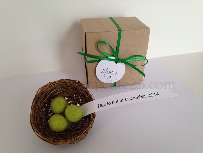 Bird's Nest Pregnancy announcement baby announcement new Etsy