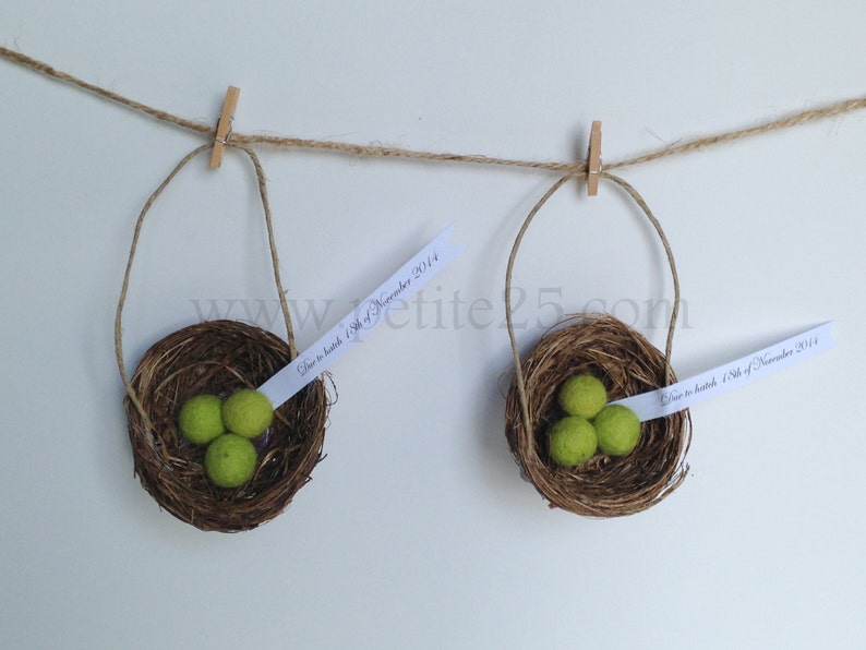 Bird's Nest Pregnancy announcement baby announcement new Etsy