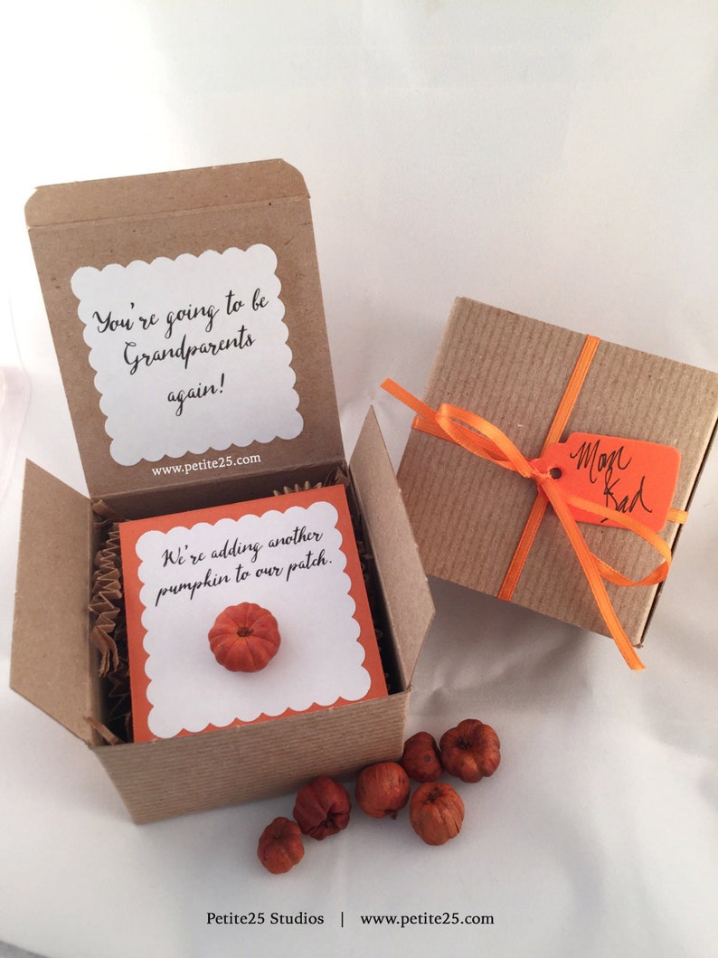 Little Pumpkin Pregnancy announcement baby announcement new image 0