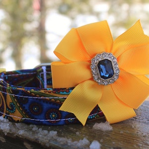 Paisley Dog Collar, Peacock Dog Collar, Blue Dog Collar, Purple Dog Collar, Yellow Dog Collar, Floral Dog Collar, Turquoise Dog Collar