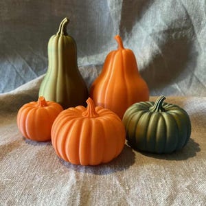 May include: A collection of five decorative gourds in various shapes and colors. There are two small orange pumpkins, a green pumpkin, a tall green gourd, and a large orange gourd. The gourds are arranged on a neutral-colored fabric.
