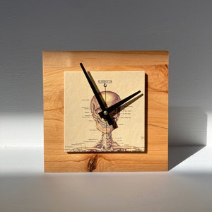 May include: A wooden clock featuring a skull and skeleton design. The clock face is a vintage anatomical illustration of a human skull and skeleton.