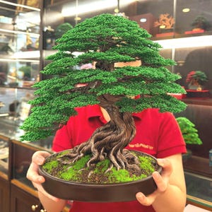 Op de afbeelding: Een bonsai-boomsculptuur van draad met een dikke, gedraaide metaalbruine stam met zichtbare wortels en dicht, felgroen draadgebladerte. De boom is geplant in een ondiepe, ronde donkerbruine keramische pot gevuld met groen mos en aarde.