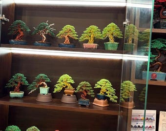 Mini Copper Bonsai dark green Tree Sculpture: Handmade Tree of Life Decor