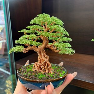 May include: A handcrafted bonsai tree sculpture made of copper wire, with green wire leaves. The tree is planted in a blue ceramic pot filled with soil and moss. The trunk and branches are intricately twisted, creating a detailed miniature tree.