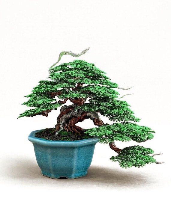 metasequoia bonsai schneiden Seedeo® Urwelt-Mammutbaum (Metasequoia glyptostroboides) Bonsai 100 Sa main image 1