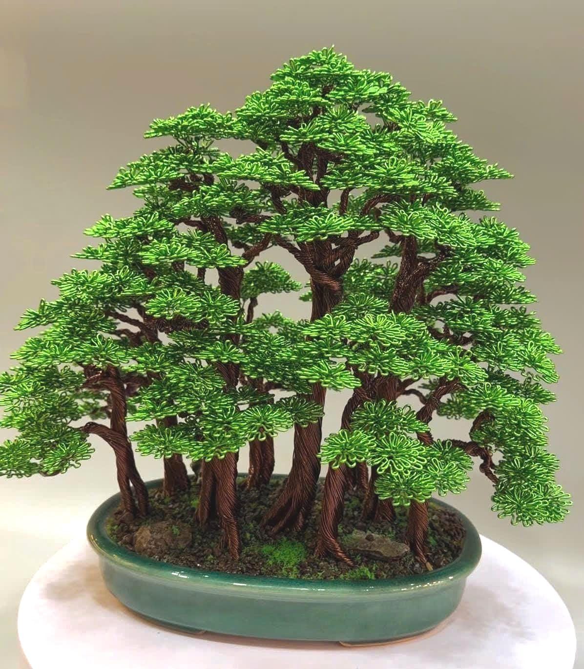 Jasmine bonsai - Etsy sterreich