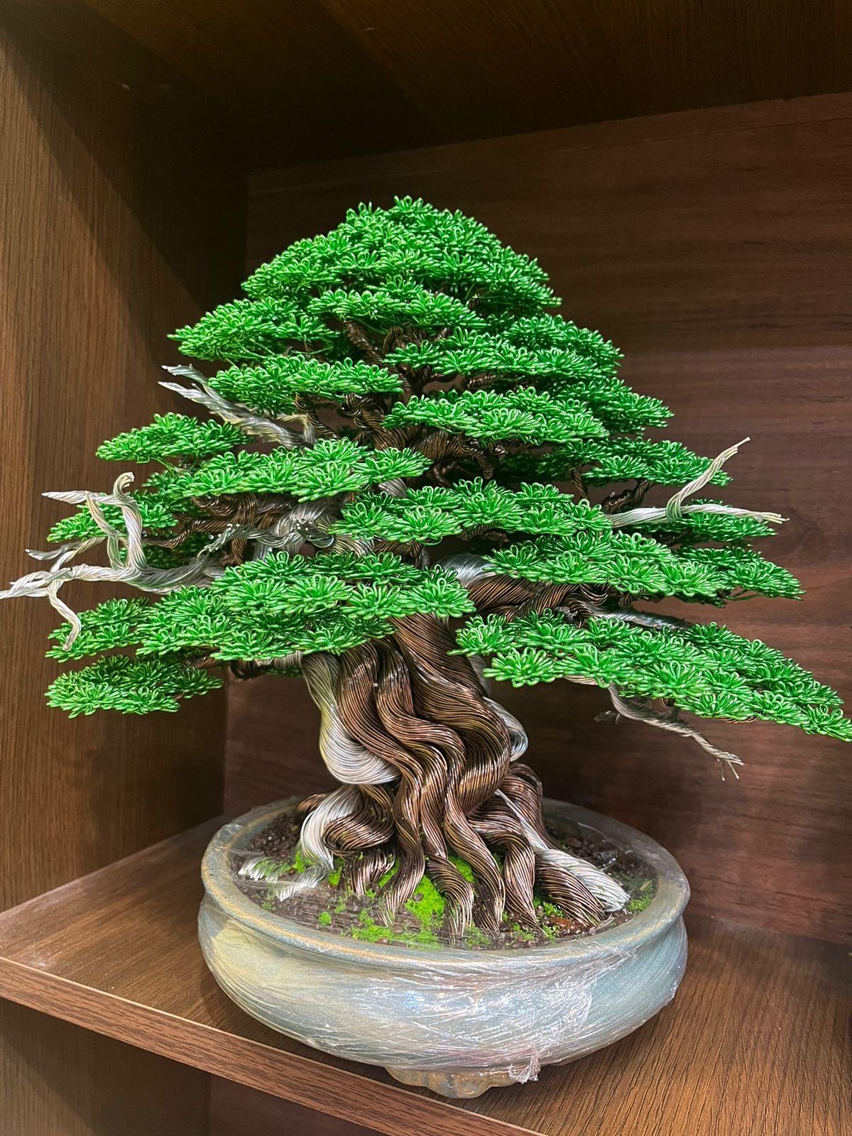 Bonsai regale - Etsy sterreich