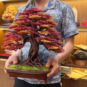 Copper Wire Bonsai Sculpture – Red Maple Tree, Feng Shui Art