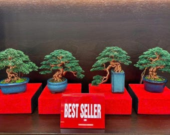 Mini Copper Bonsai Sculpture: Handmade Tree of Life Art