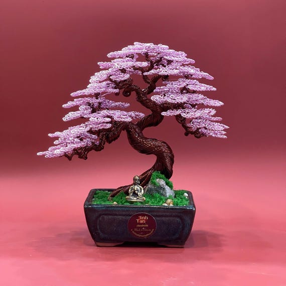 pre bonsai kaufen Mikawa Yatsubusa 3-4 Yr Pre Bonsai (#64) main image 1