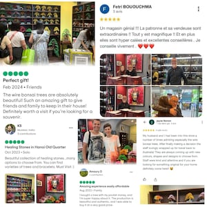 May include: A shop interior with a display of wire bonsai trees in various colors. Customers browse the selection, and there are customer reviews with text. The shop also sells healing stones and art.