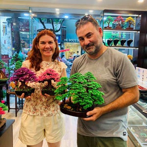 May include: A couple holding bonsai trees with vibrant foliage. One tree has deep purple leaves, another has pink, and the third has lush green leaves. The trees are in dark brown pots, showcasing the art of bonsai.