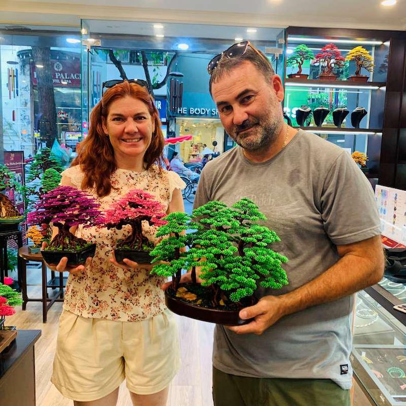 May include: A couple holding bonsai trees with vibrant foliage. One tree has deep purple leaves, another has pink, and the third has lush green leaves. The trees are in dark brown pots, showcasing the art of bonsai.